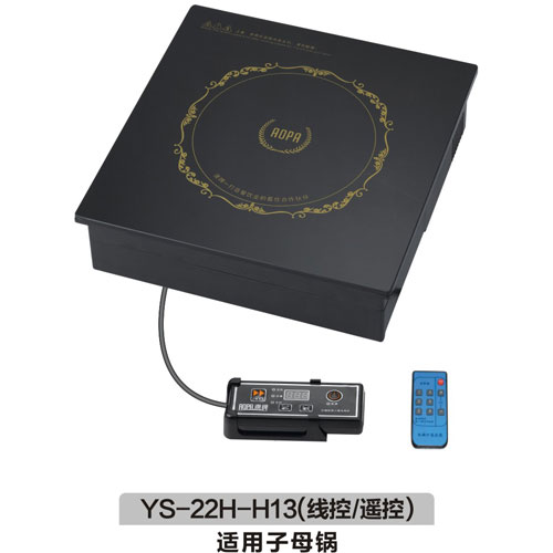 H13線(xiàn)控或遙控
