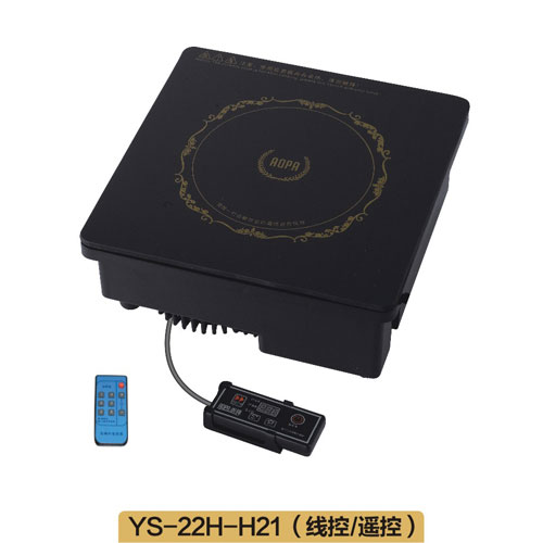 H21線(xiàn)控或遙控